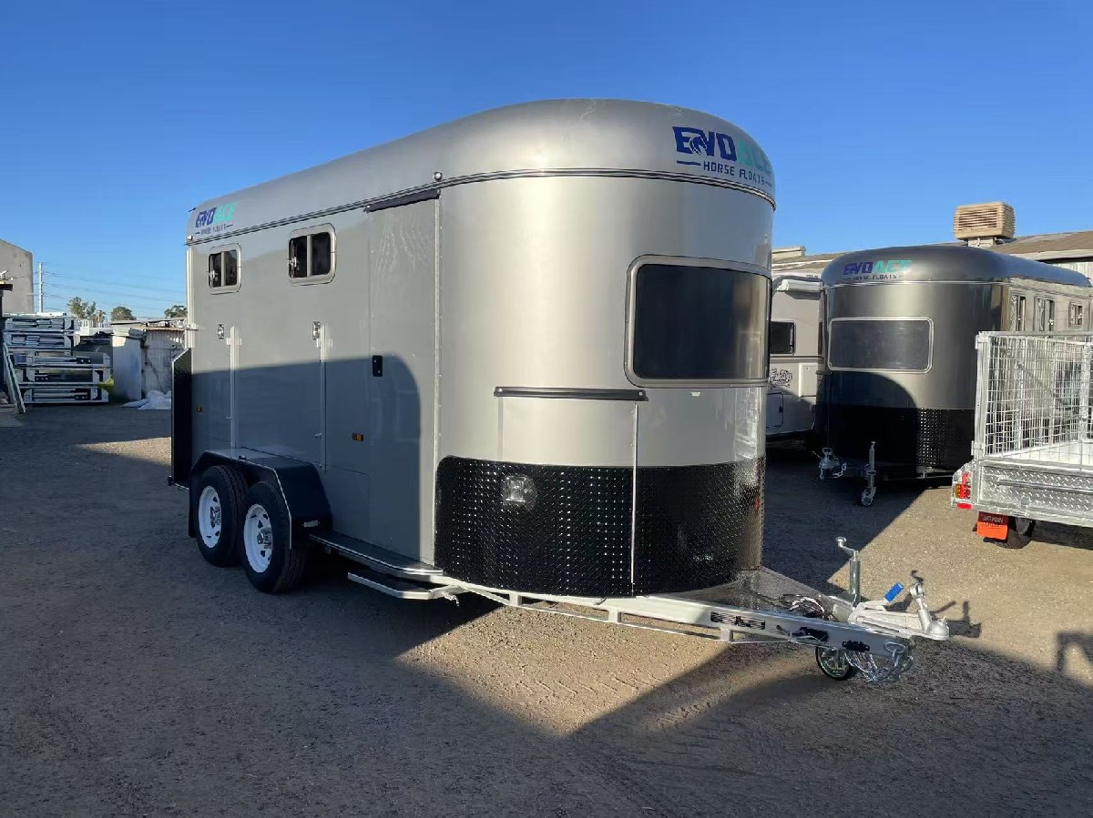 V223 2HAL Standard Plus with Warm-Blood Horse Bays